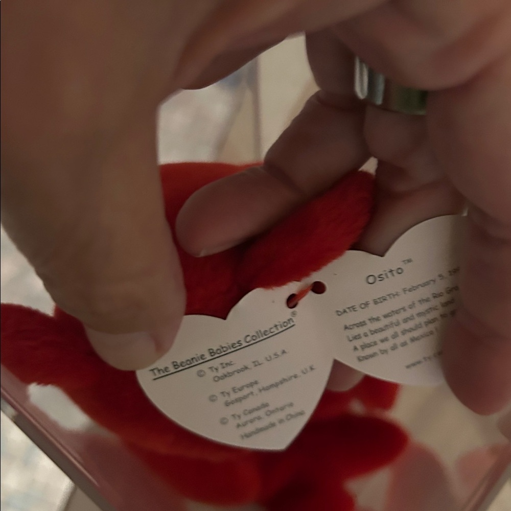 Ty Plush Red Bear with Flag Emblem-Brand New Mexico - Picture 4 of 4